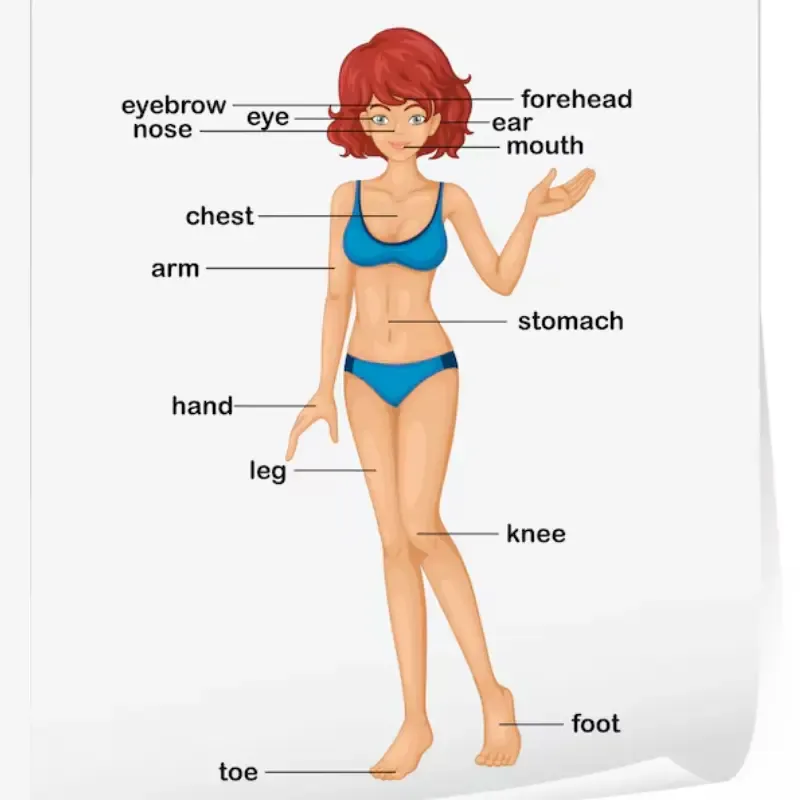 Body And Health cover